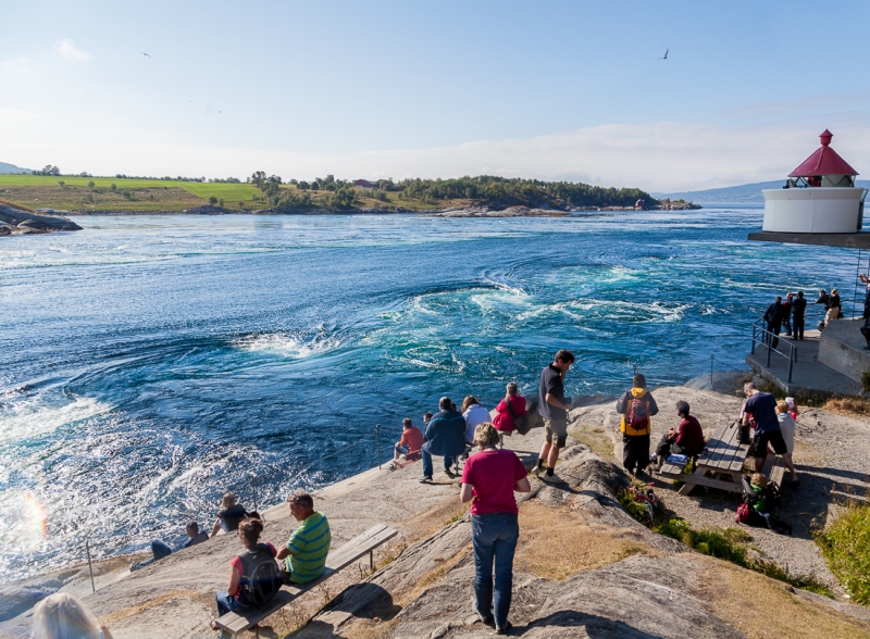 Цветущая Норвегия (июль-август 2014) (не закончен)