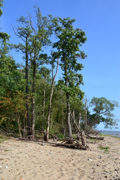 Кронштадт Форт Риф (фотоотчет)