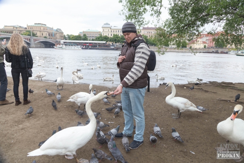 Наша Чехия, Вена и Саксонская Швейцария в Мае 2014. (Много фото)