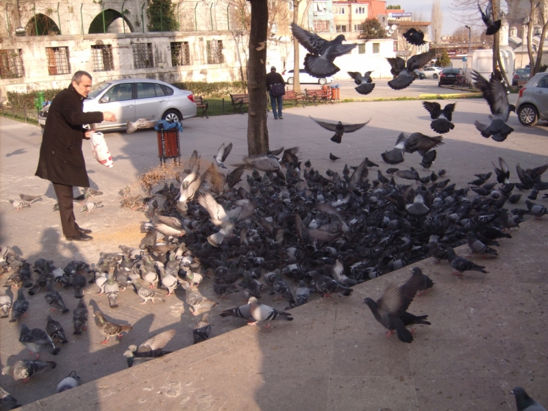 Неделя в Стамбуле ранней весной – март 2013.