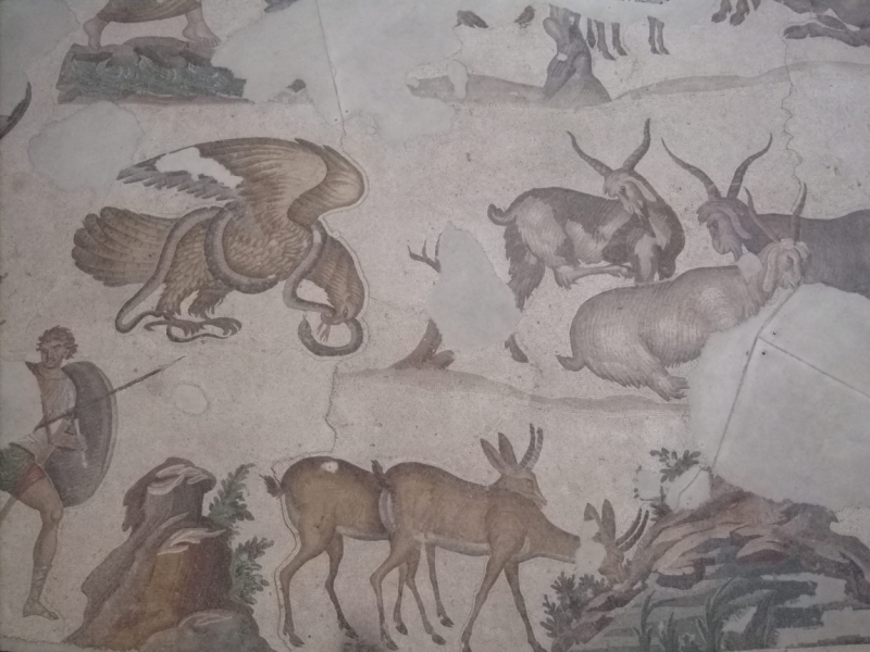 Неделя в Стамбуле ранней весной – март 2013.