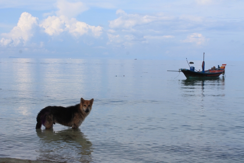 Небоскребы, лодки, море… Гонконг-Боракай в несезон (июль 2014г.)