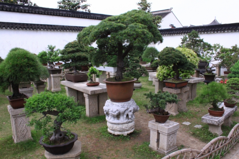 Китай 2014