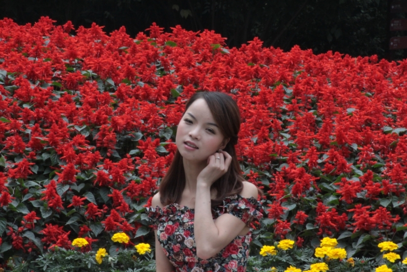 Первомайская Поднебесная: Шанхай– Чжуцзяцзяо– Сучжоу– Лоян– Шаолинь– Сиань–Хуаншань –Ченду