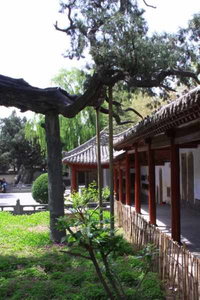 Первомайская Поднебесная: Шанхай– Чжуцзяцзяо– Сучжоу– Лоян– Шаолинь– Сиань–Хуаншань –Ченду