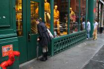 IMG_3426