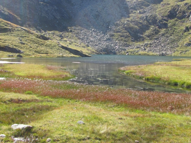 2014, июль. Дорф Тироль (Мерано). Маленькие радости каникул по-бюргерски. Без а/м.