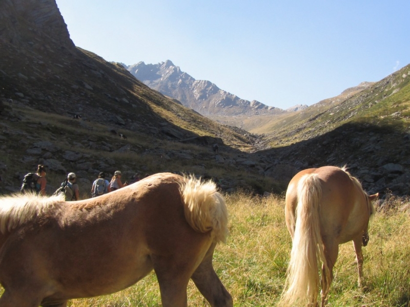 2014, июль. Дорф Тироль (Мерано). Маленькие радости каникул по-бюргерски. Без а/м.