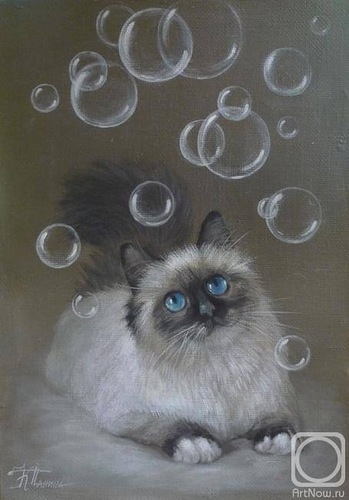 Поговорим о кошках 29