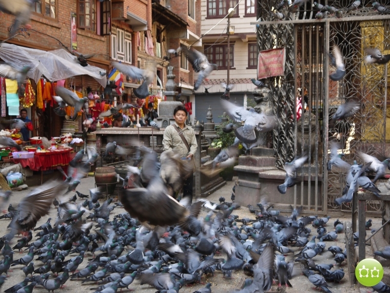 Кольцо Аннапурны (из Бессисахара до Покхары) или In the Big Rock Candy Mountains