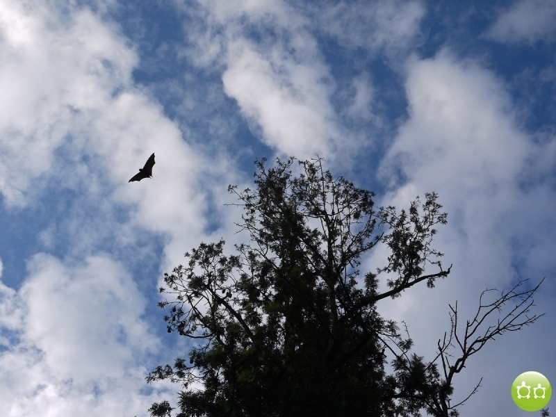 Кольцо Аннапурны (из Бессисахара до Покхары) или In the Big Rock Candy Mountains
