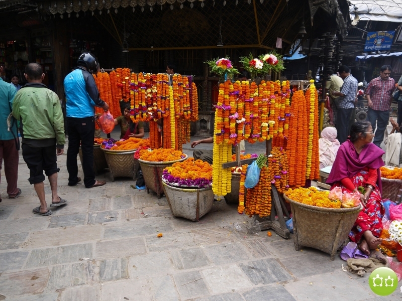 Кольцо Аннапурны (из Бессисахара до Покхары) или In the Big Rock Candy Mountains