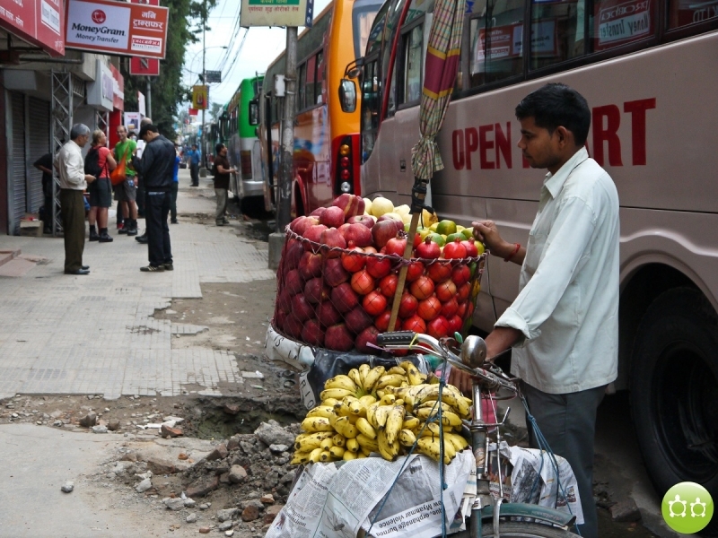 Кольцо Аннапурны (из Бессисахара до Покхары) или In the Big Rock Candy Mountains