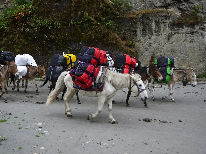 Кольцо Аннапурны (из Бессисахара до Покхары) или In the Big Rock Candy Mountains