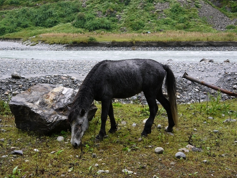 Кольцо Аннапурны (из Бессисахара до Покхары) или In the Big Rock Candy Mountains