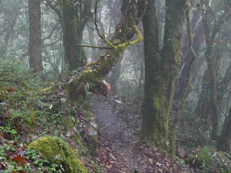 Кольцо Аннапурны (из Бессисахара до Покхары) или In the Big Rock Candy Mountains