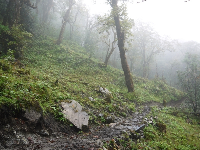 Кольцо Аннапурны (из Бессисахара до Покхары) или In the Big Rock Candy Mountains