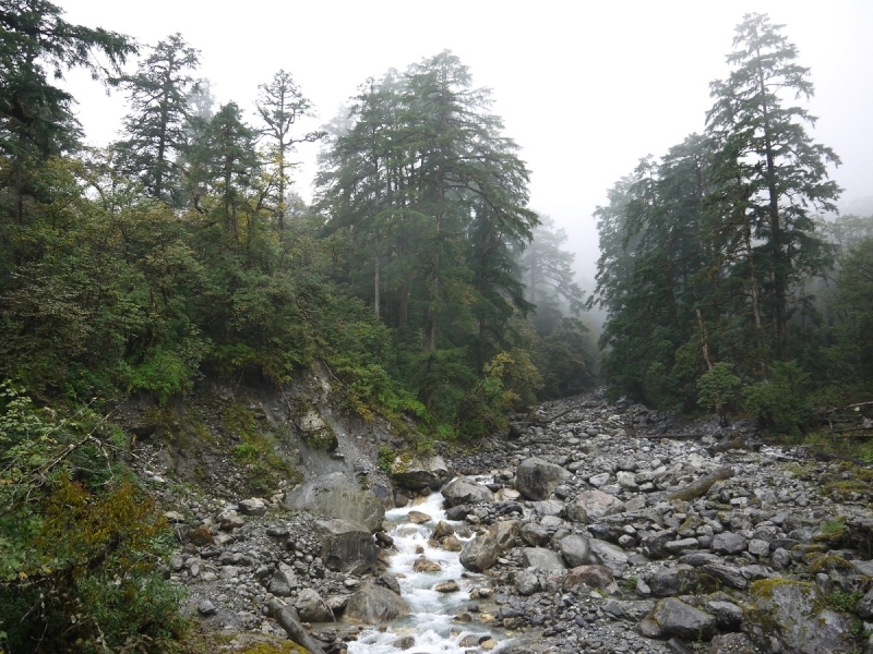 Кольцо Аннапурны (из Бессисахара до Покхары) или In the Big Rock Candy Mountains