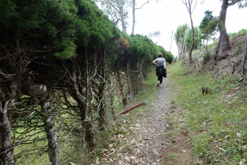 Медельин для чайников(4 дня). Город современной скульптуры, архитектуры.