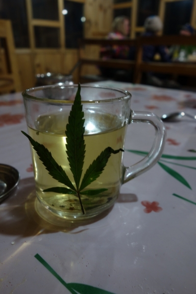 Кольцо Аннапурны (из Бессисахара до Покхары) или In the Big Rock Candy Mountains