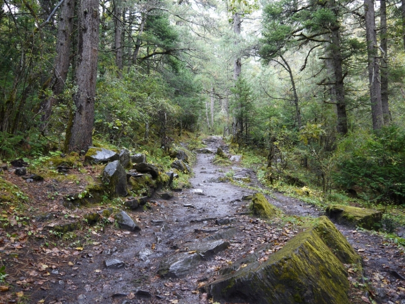 Кольцо Аннапурны (из Бессисахара до Покхары) или In the Big Rock Candy Mountains