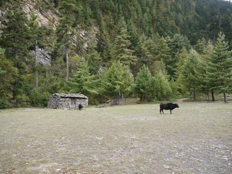 Кольцо Аннапурны (из Бессисахара до Покхары) или In the Big Rock Candy Mountains