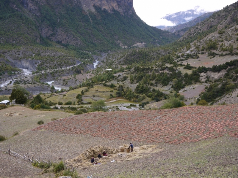 Кольцо Аннапурны (из Бессисахара до Покхары) или In the Big Rock Candy Mountains