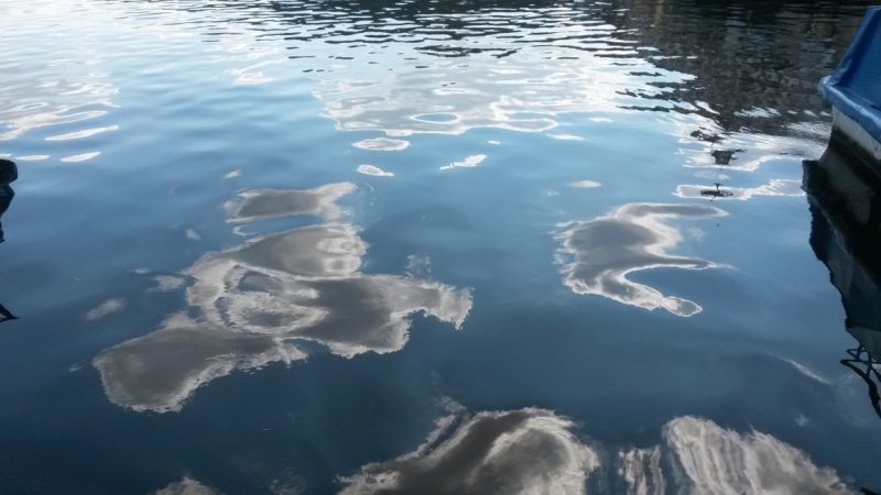 облака-пушистики в Днепре