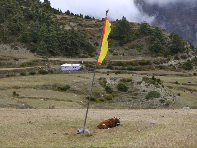 Кольцо Аннапурны (из Бессисахара до Покхары) или In the Big Rock Candy Mountains