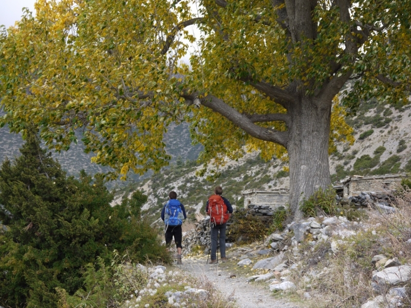Кольцо Аннапурны (из Бессисахара до Покхары) или In the Big Rock Candy Mountains