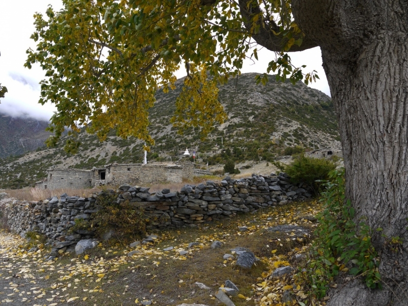 Кольцо Аннапурны (из Бессисахара до Покхары) или In the Big Rock Candy Mountains