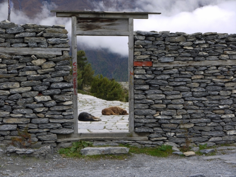 Кольцо Аннапурны (из Бессисахара до Покхары) или In the Big Rock Candy Mountains