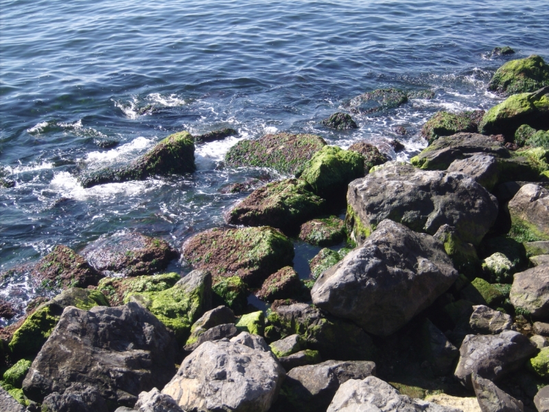 Неделя в Стамбуле ранней весной – март 2013.