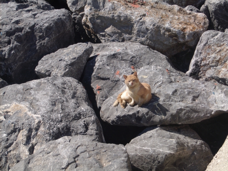 Неделя в Стамбуле ранней весной – март 2013.