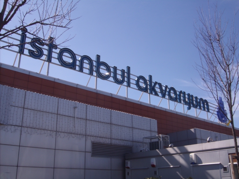 Неделя в Стамбуле ранней весной – март 2013.