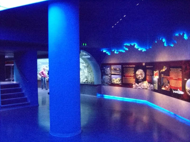 Неделя в Стамбуле ранней весной – март 2013.