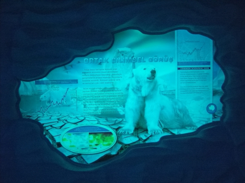 Неделя в Стамбуле ранней весной – март 2013.