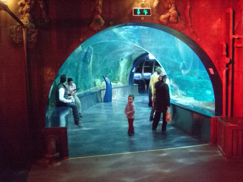 Неделя в Стамбуле ранней весной – март 2013.