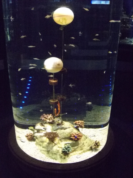 Неделя в Стамбуле ранней весной – март 2013.