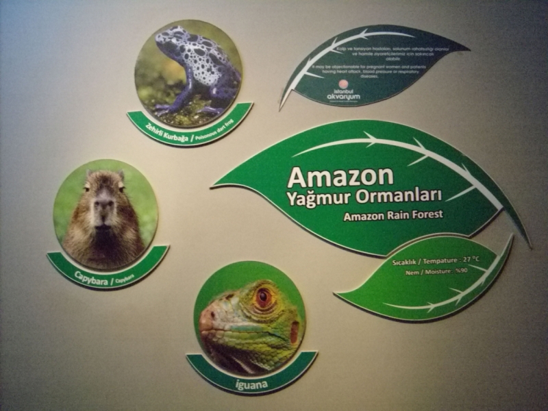 Неделя в Стамбуле ранней весной – март 2013.