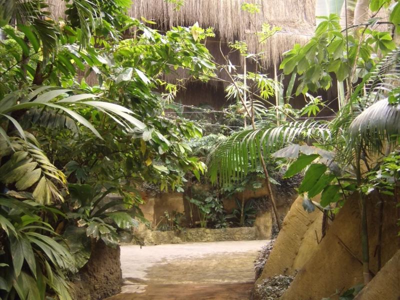 Неделя в Стамбуле ранней весной – март 2013.