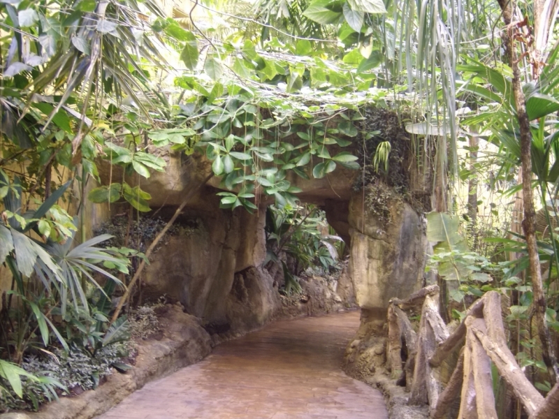 Неделя в Стамбуле ранней весной – март 2013.