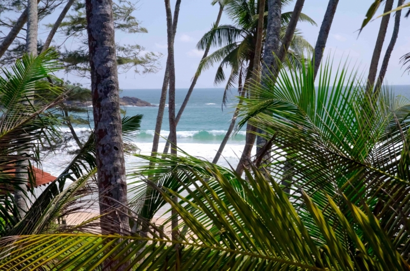 Шри-Ланка: отели, жильё, апартаменты — где остановиться, советы, бронирование с картой РФ