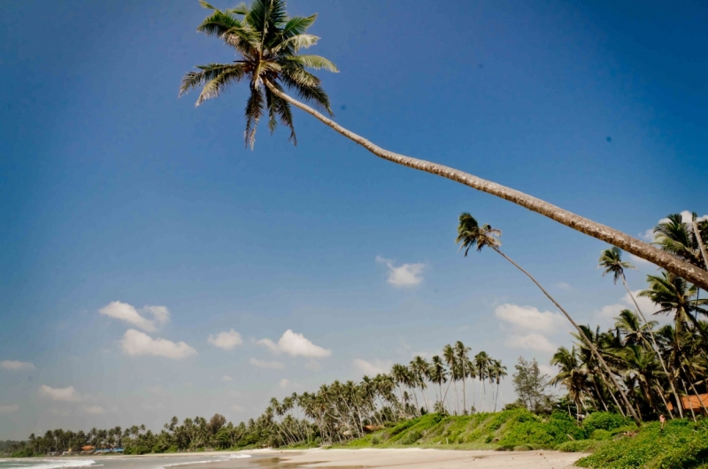 Шри-Ланка: отели, жильё, апартаменты — где остановиться, советы, бронирование с картой РФ