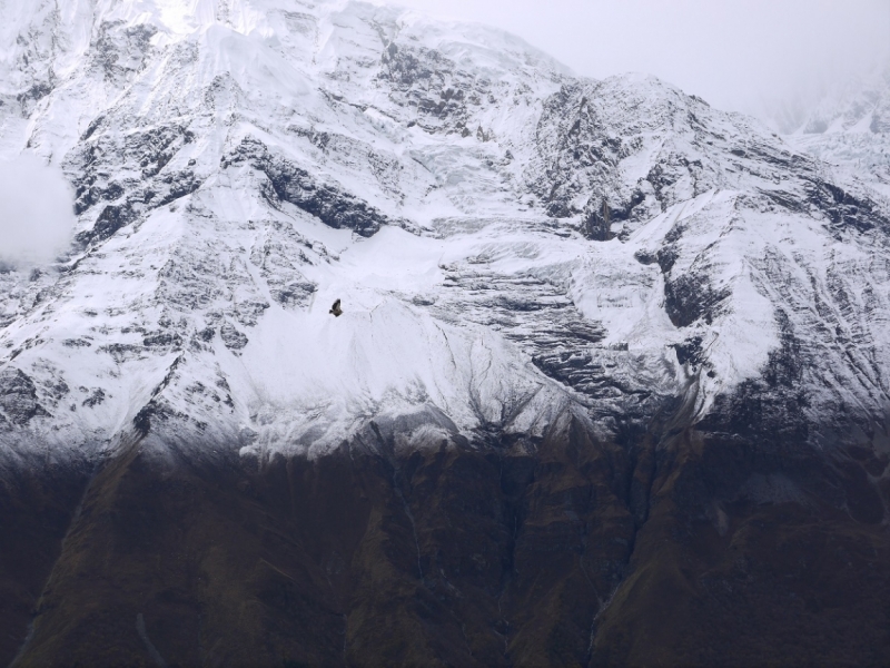 Кольцо Аннапурны (из Бессисахара до Покхары) или In the Big Rock Candy Mountains