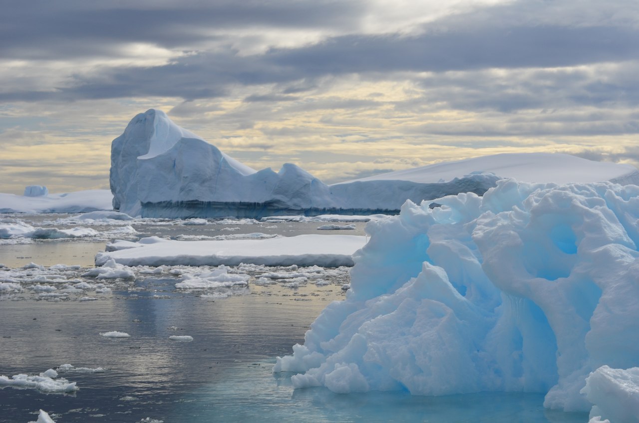 Южный океан природа. Антарктида холод. Южный океан. Антарктическое царство.
