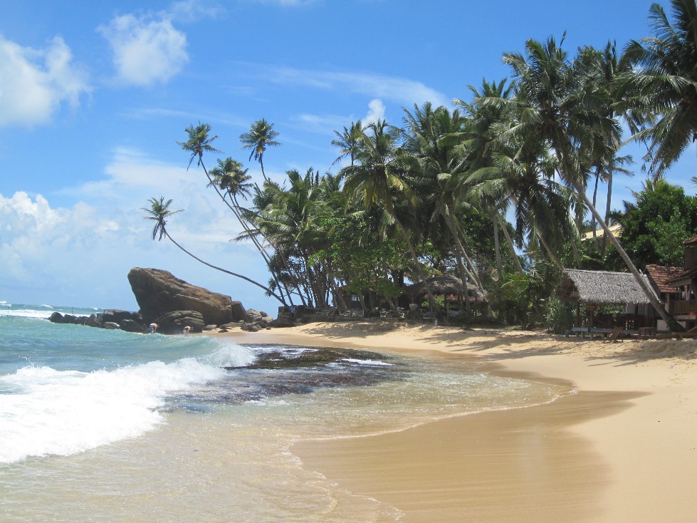 The beach шри ланка. Далавелла Шри Ланка. Виджая Бич Шри Ланка. Пляж Виджая Шри Ланка. Пляж Виджая Унаватуна.