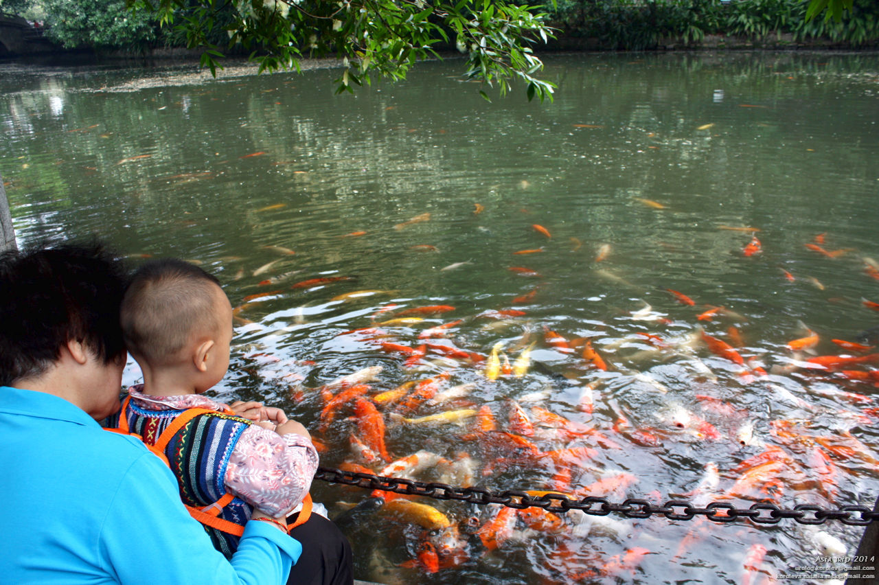 Малайзия камбоджа. Зачарованная река Филиппины. Японец на рыбалке. Хинатуан Зачарованная река. Зачарованная река Филиппины без дна.