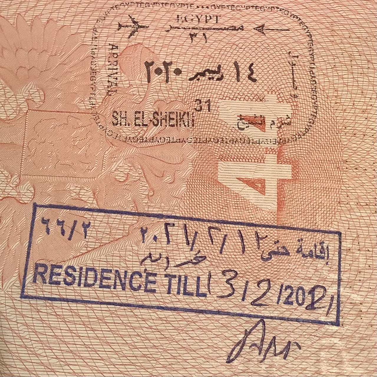 Виза в египет цена 2024. Египетская виза. Электронная виза в Египет. Продление визы в Египте.