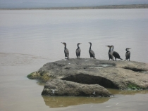 Озеро Лонгано